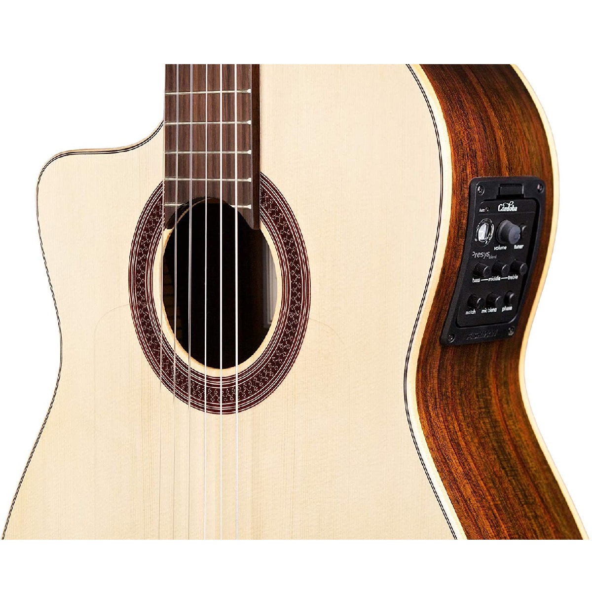 Đàn Guitar Cordoba GK Studio Negra Lefty - Việt Music