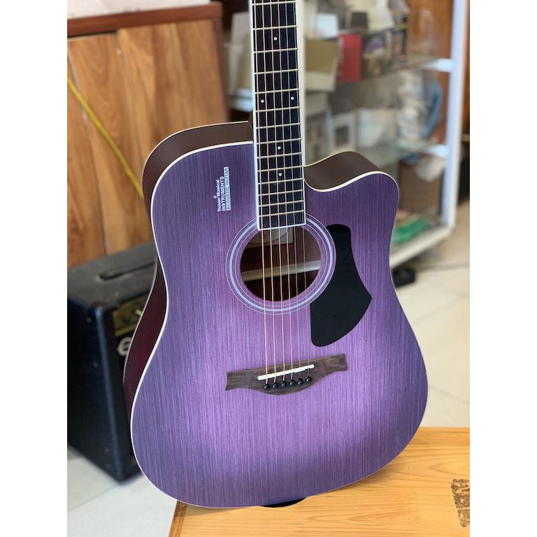 Đàn Guitar Acoustic Rosen G11SC (Full phụ kiện)-Việt Music