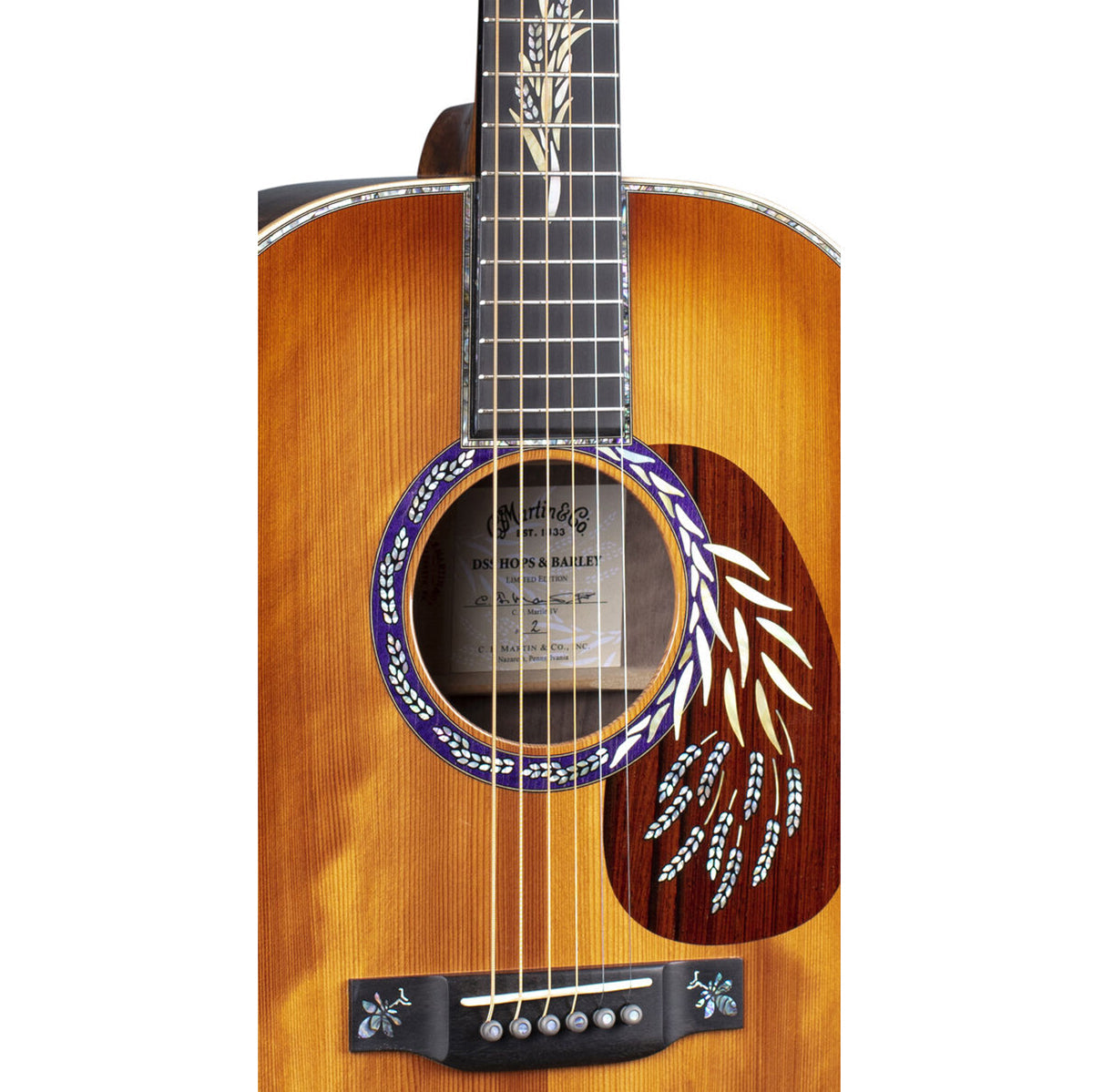 Đàn Guitar Martin DSS Hops And Barley Acoustic-Việt Music