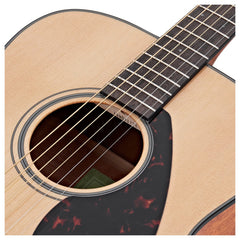 Đàn Guitar Yamaha FG800 Acoustic - Việt Music