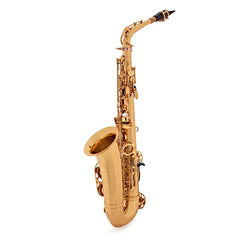 Kèn Saxophone Alto Yamaha YAS875EX - Việt Music