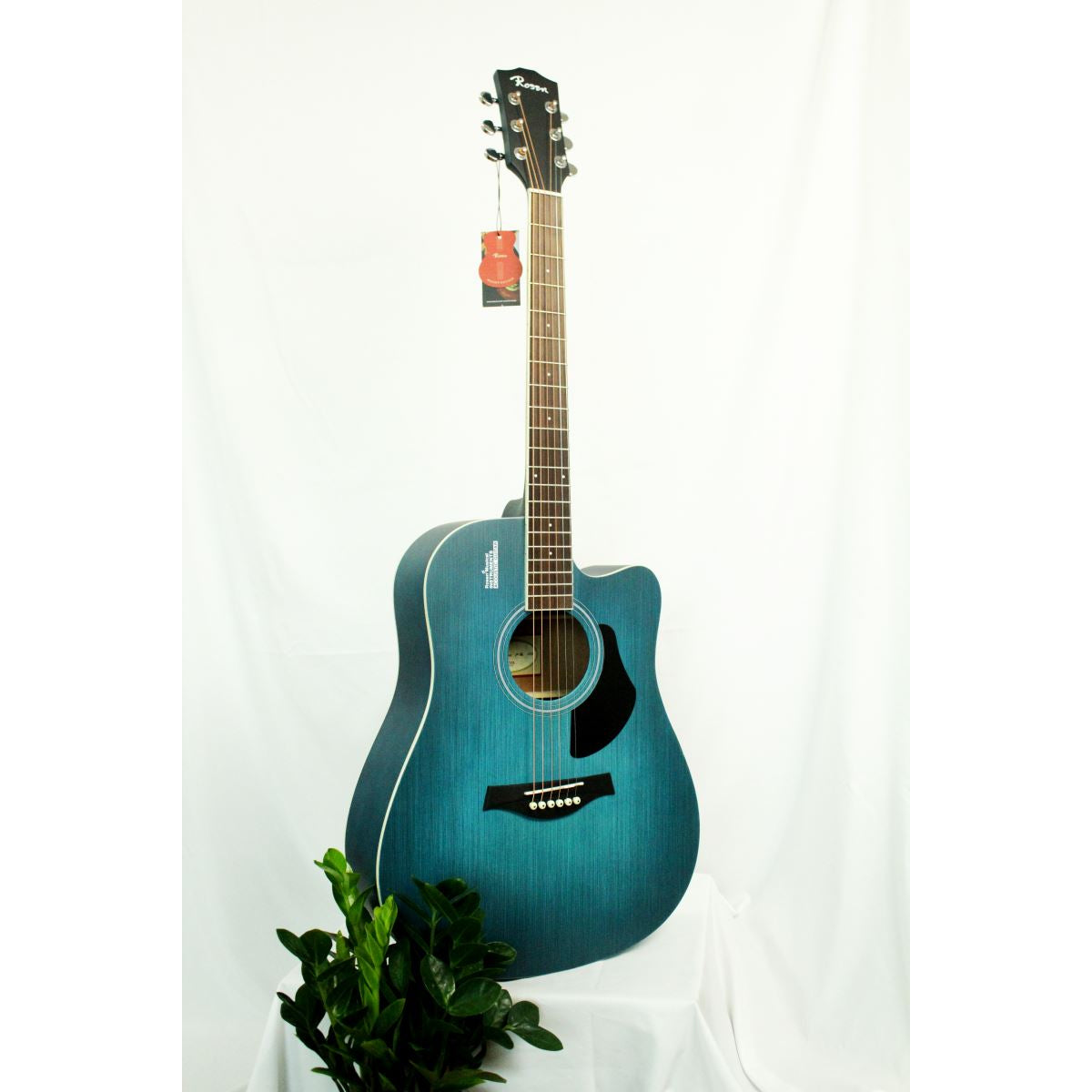 Đàn Guitar Acoustic Rosen G11SC (Full phụ kiện)-Việt Music