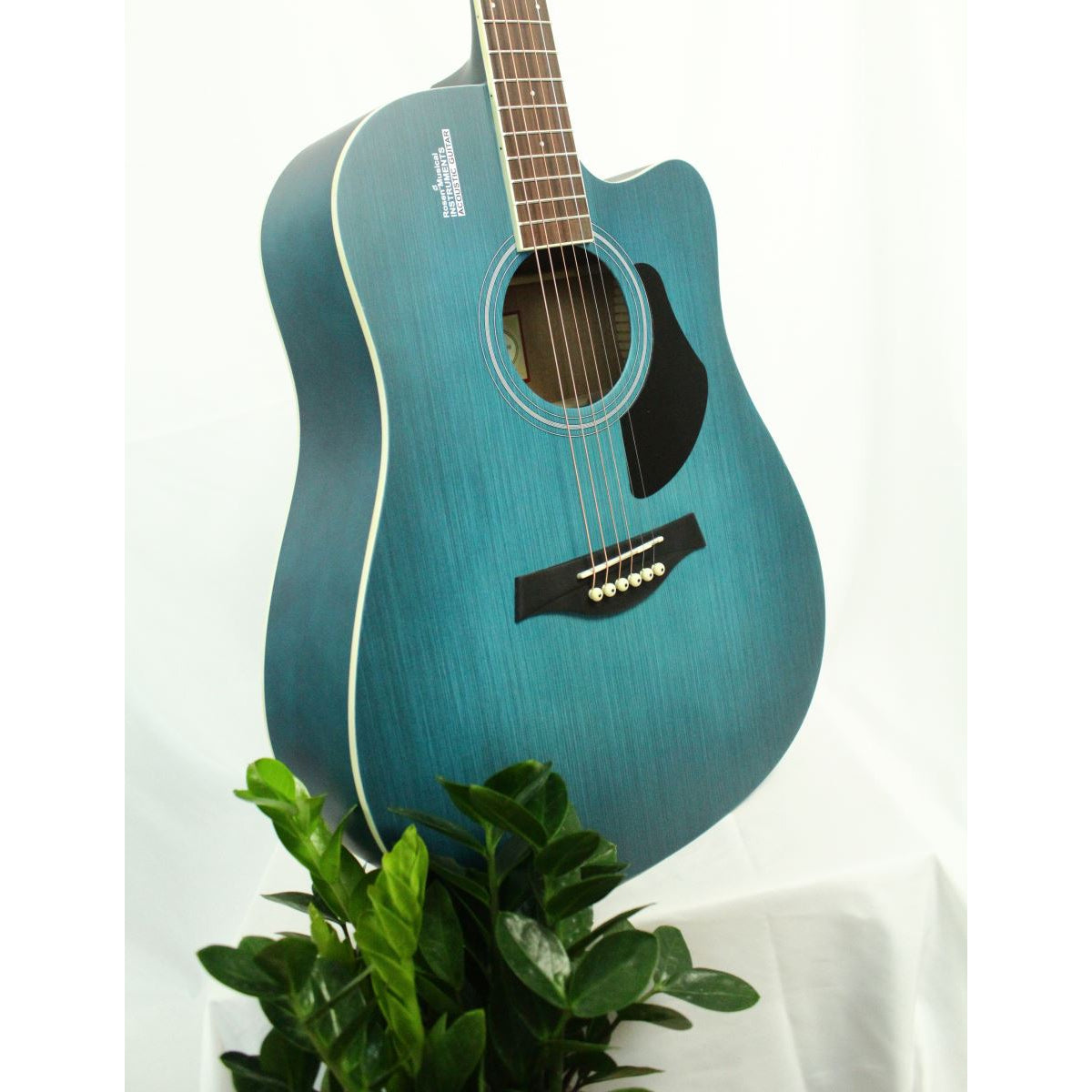 Đàn Guitar Acoustic Rosen G11SC (Full phụ kiện)-Việt Music