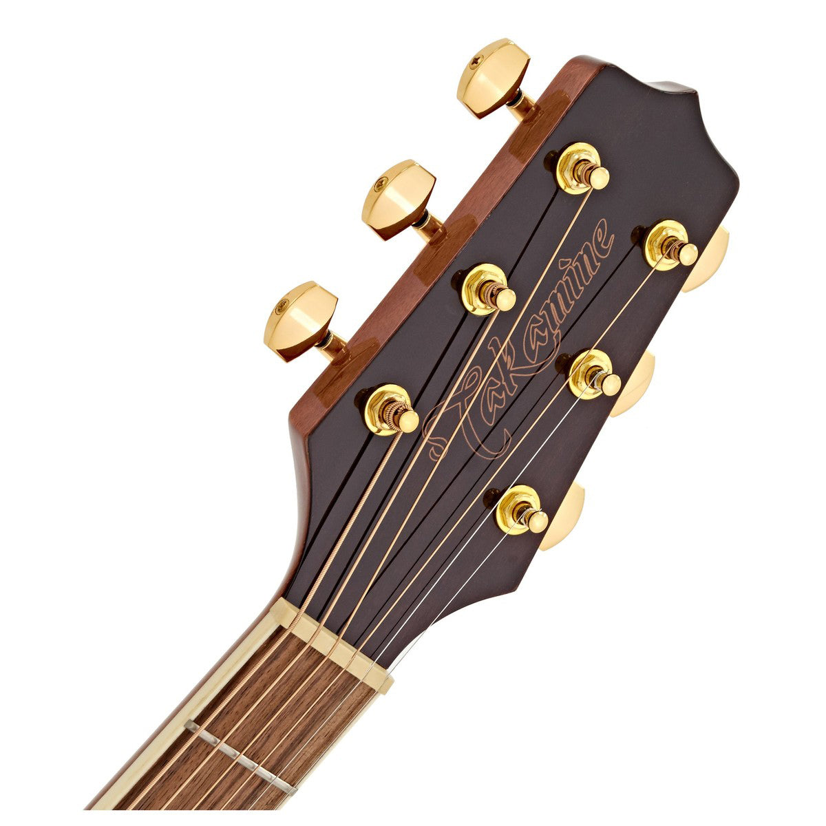 Đàn Guitar Takamine GD51 Acoustic - Việt Music