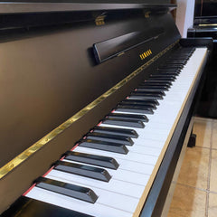 Đàn Piano Điện Yamaha DUP1 