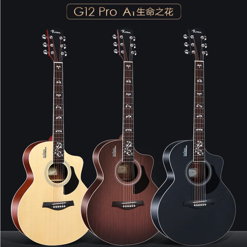 Đàn Guitar Acoustic Rosen G12 Pro (Full phụ kiện)-Việt Music