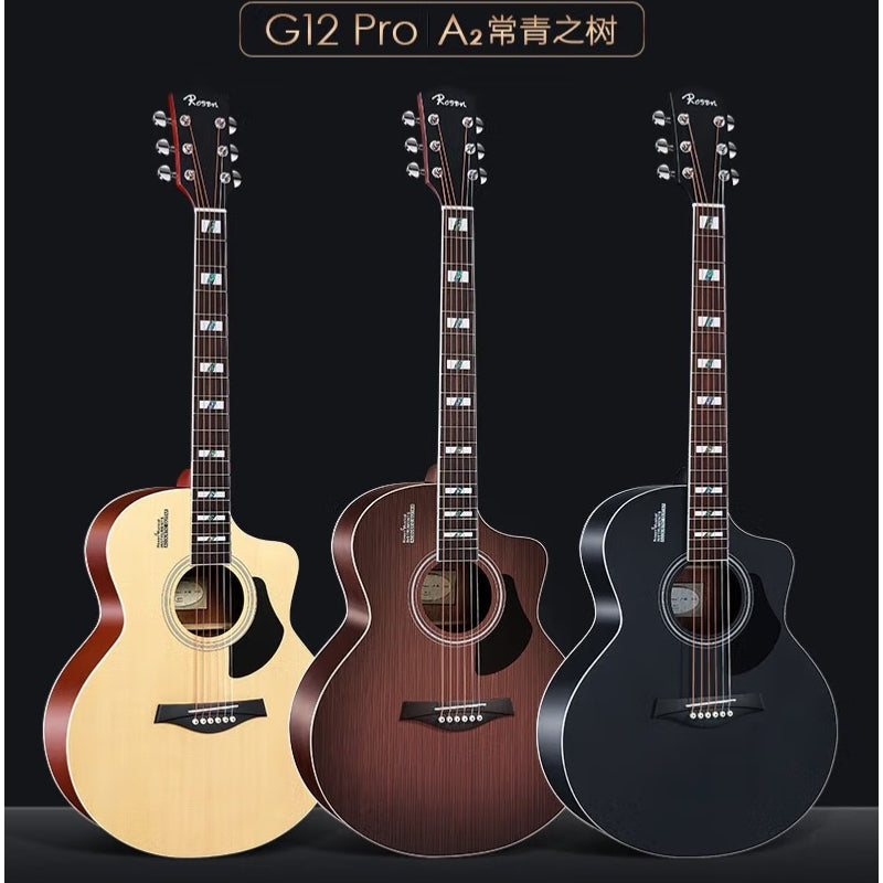 Đàn Guitar Acoustic Rosen G12 Pro (Full phụ kiện)-Việt Music