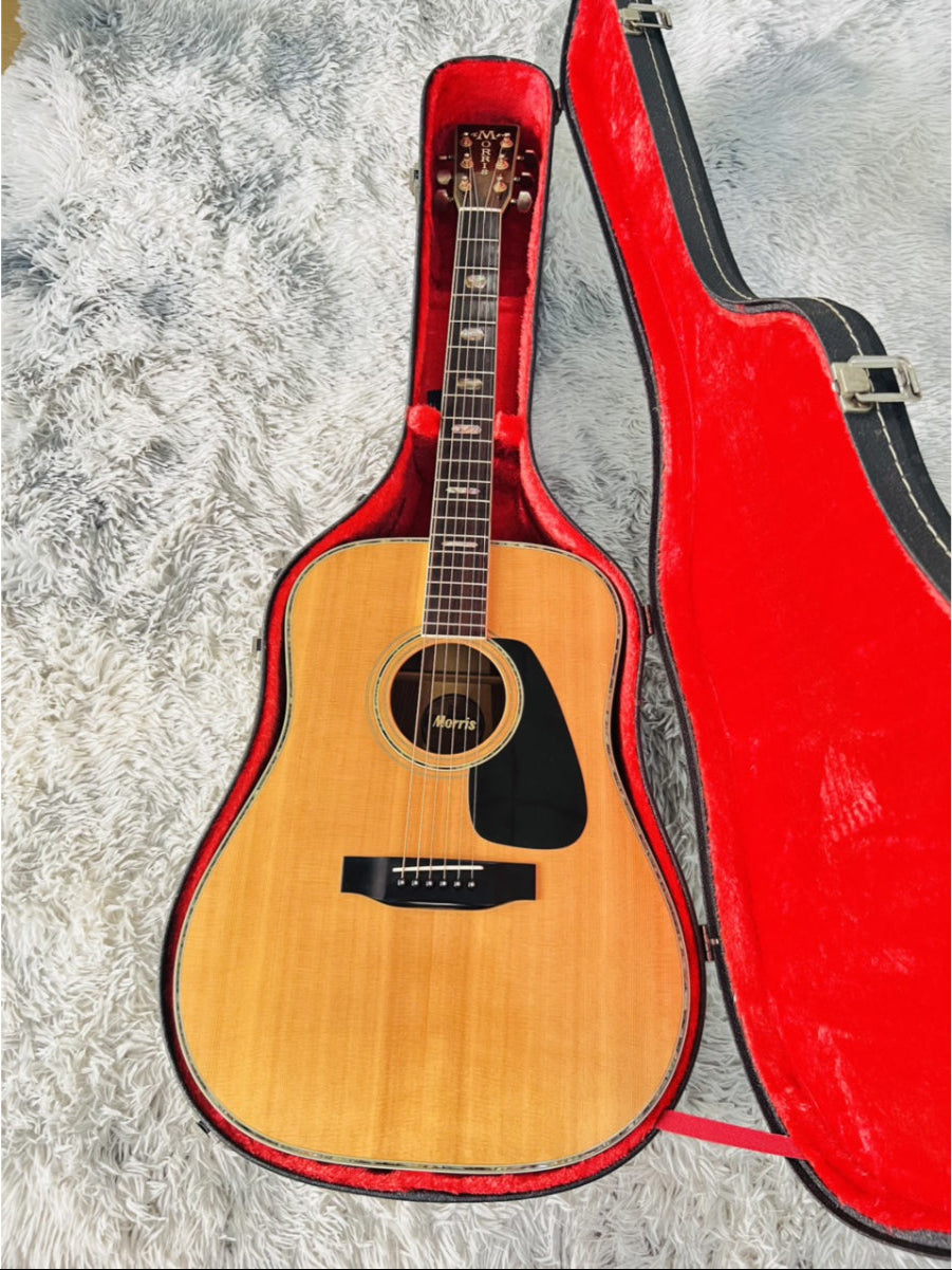 Đàn Guitar Acoustic Morris TF801