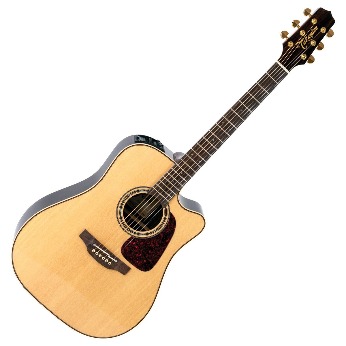 Đàn Guitar Takamine P5DC, Acoustic
