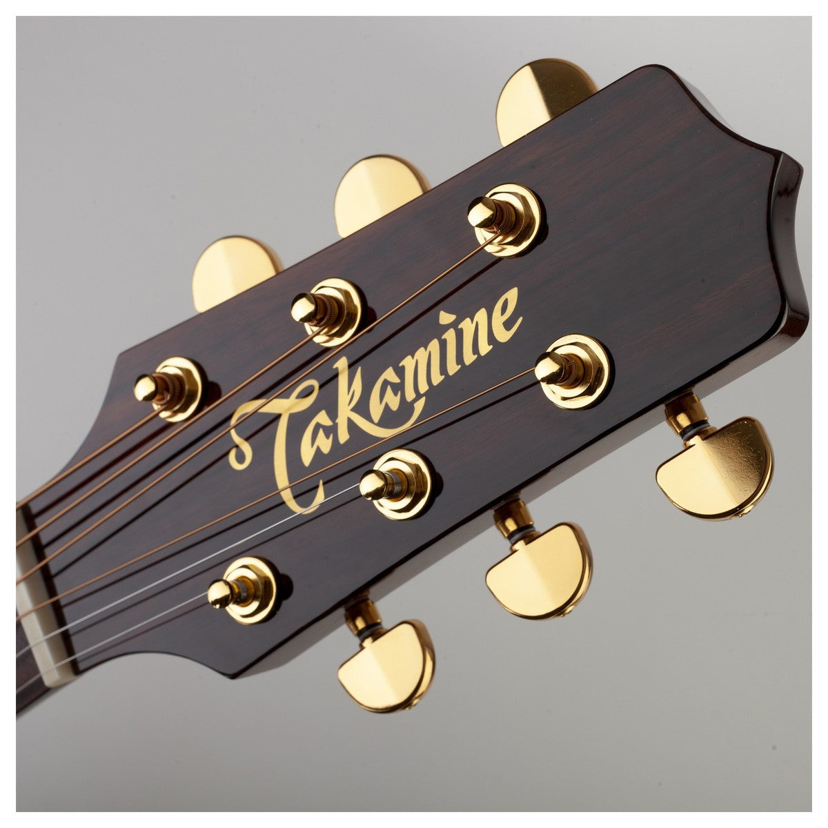 Đàn Guitar Takamine P5DC, Acoustic