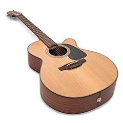 Đàn Guitar Takamine P1NC, Acoustic