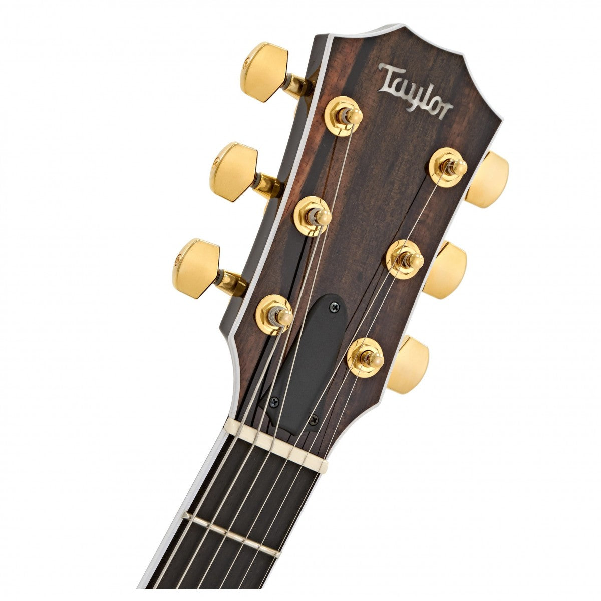 Đàn Guitar Taylor T5Z Custom K w/Case Acoustic-Việt Music