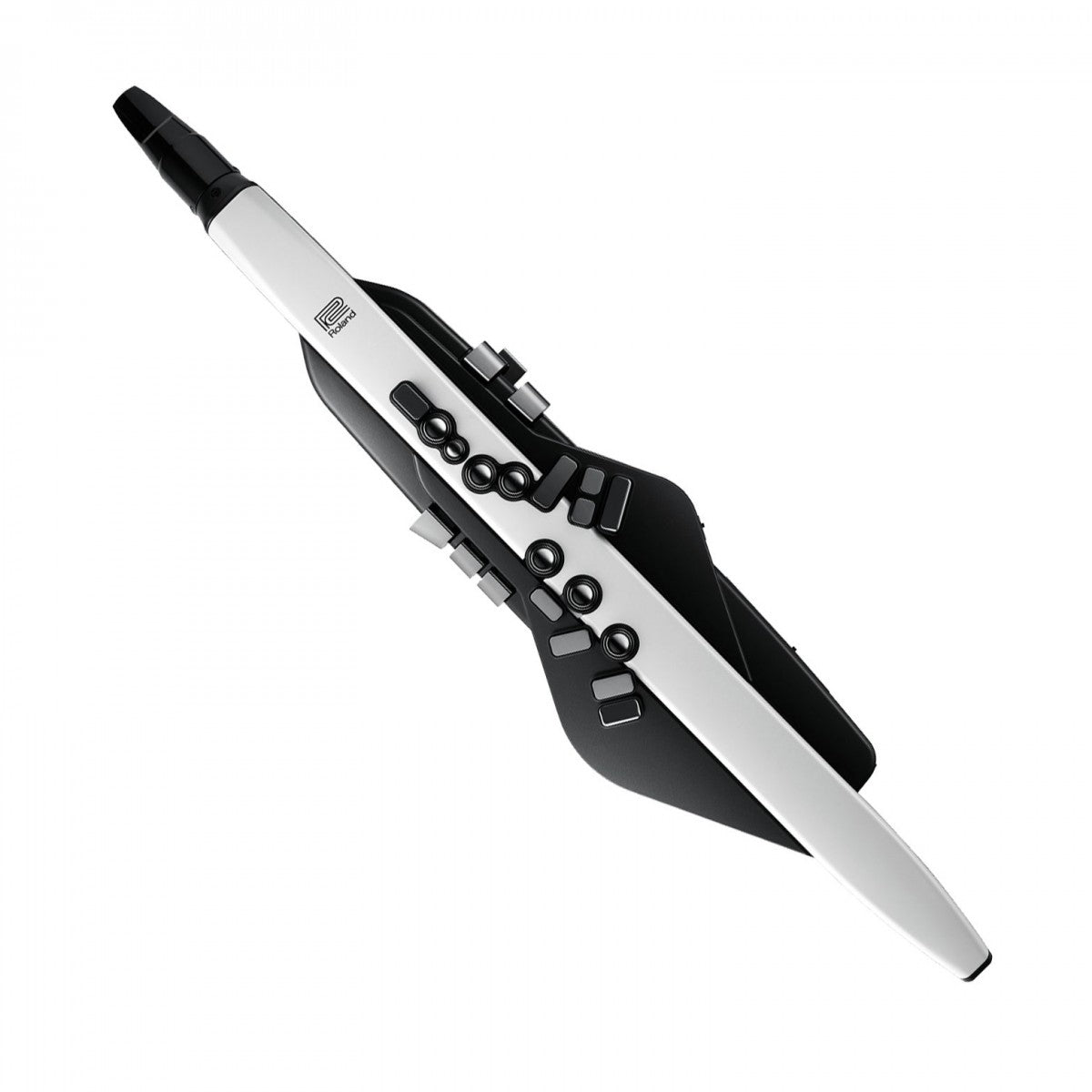 Kèn Điện Roland Aerophone AE-20-Việt Music