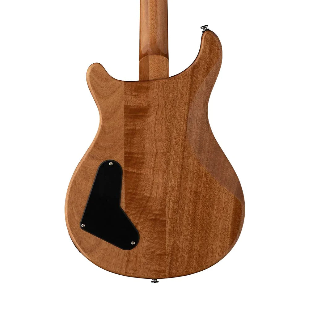 Đàn Guitar Điện PRS SE Paul's