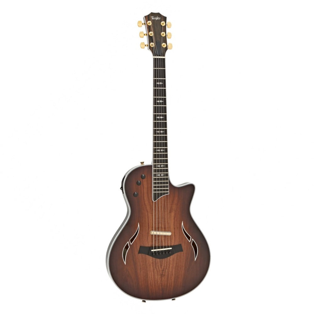 Đàn Guitar Taylor T5Z Custom K w/Case Acoustic-Việt Music