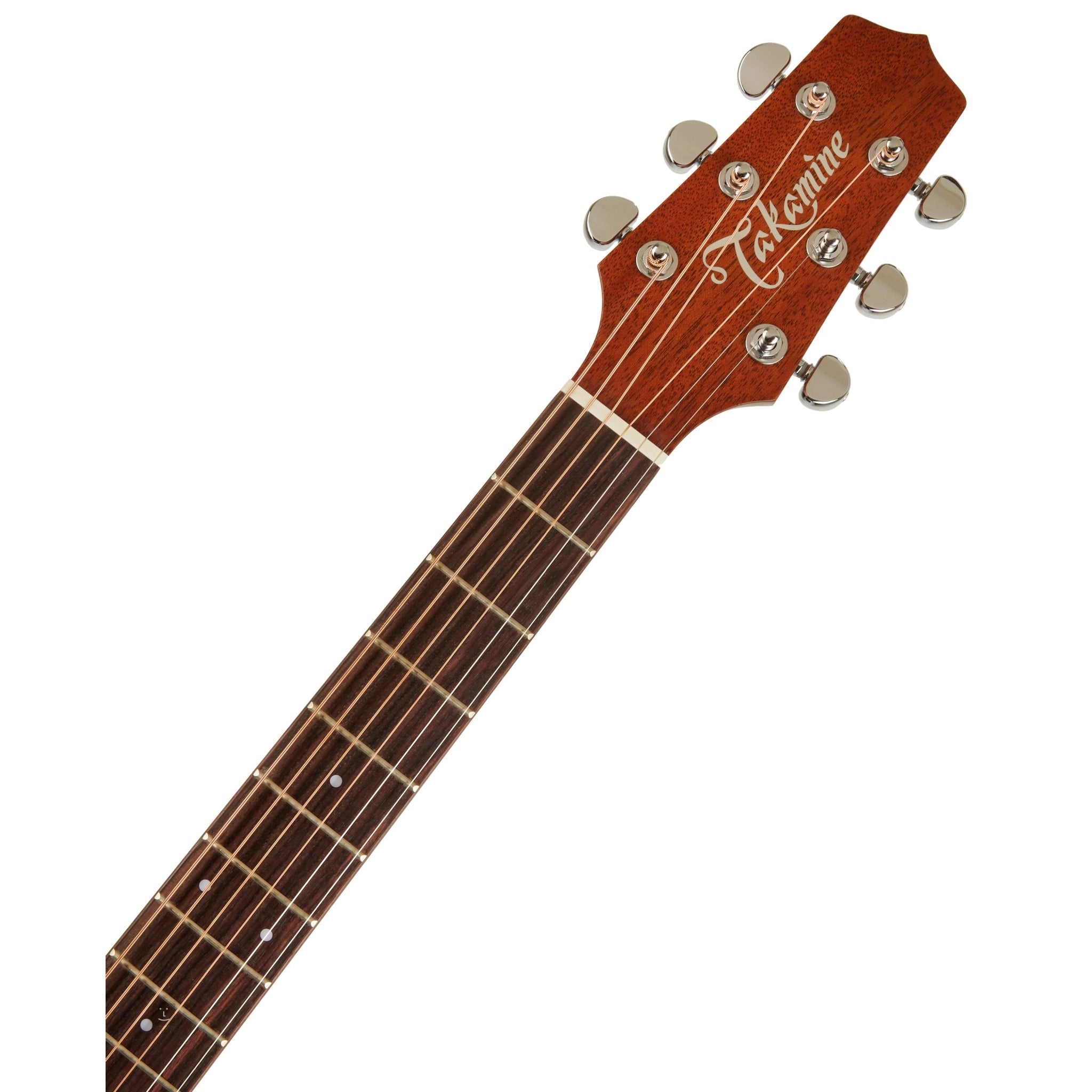 Đàn Guitar Takamine P1DC, Acoustic