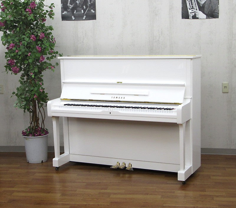 Đàn Piano Cơ Upright Yamaha U1H Màu Trắng