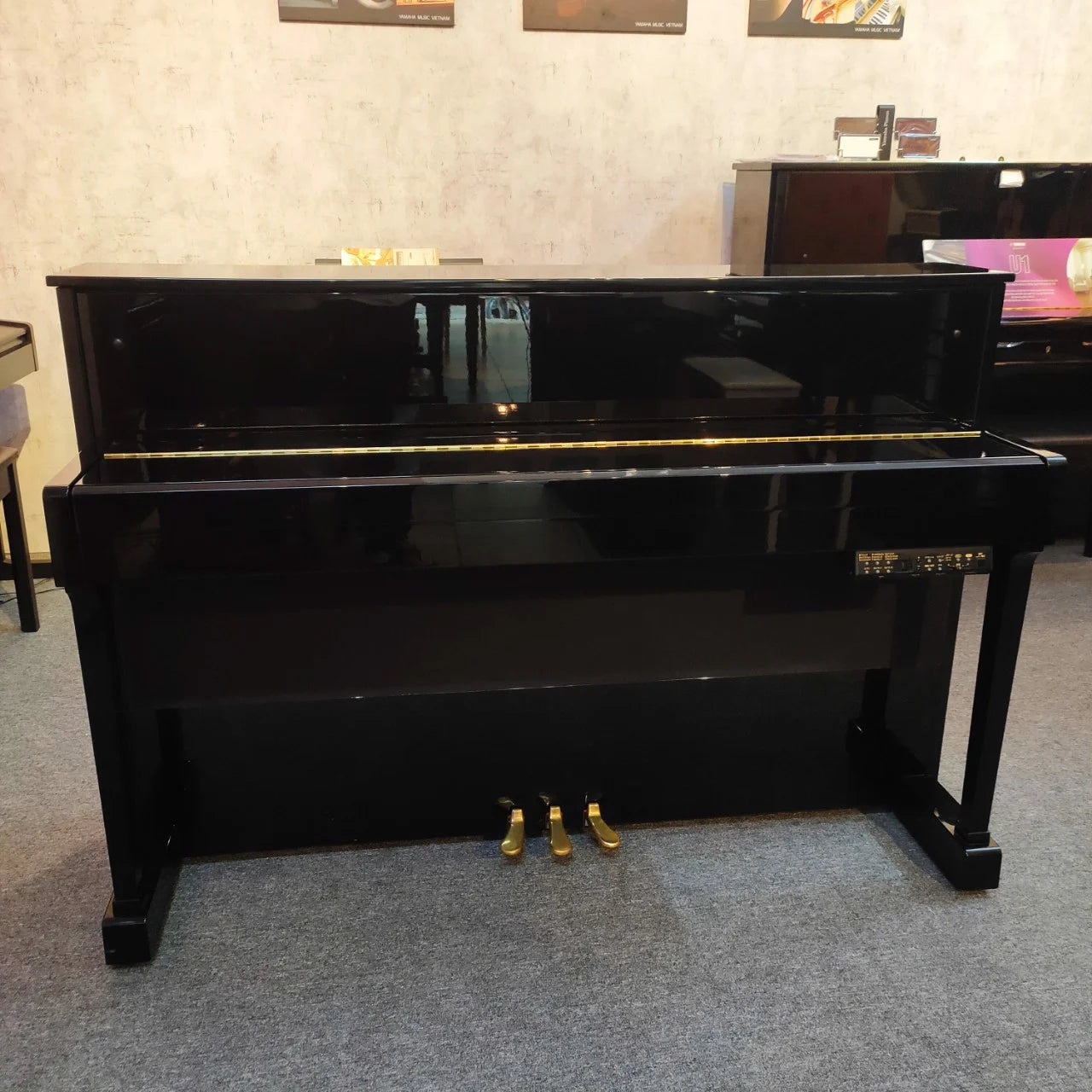 Đàn Piano Điện Yamaha DUP20 PE