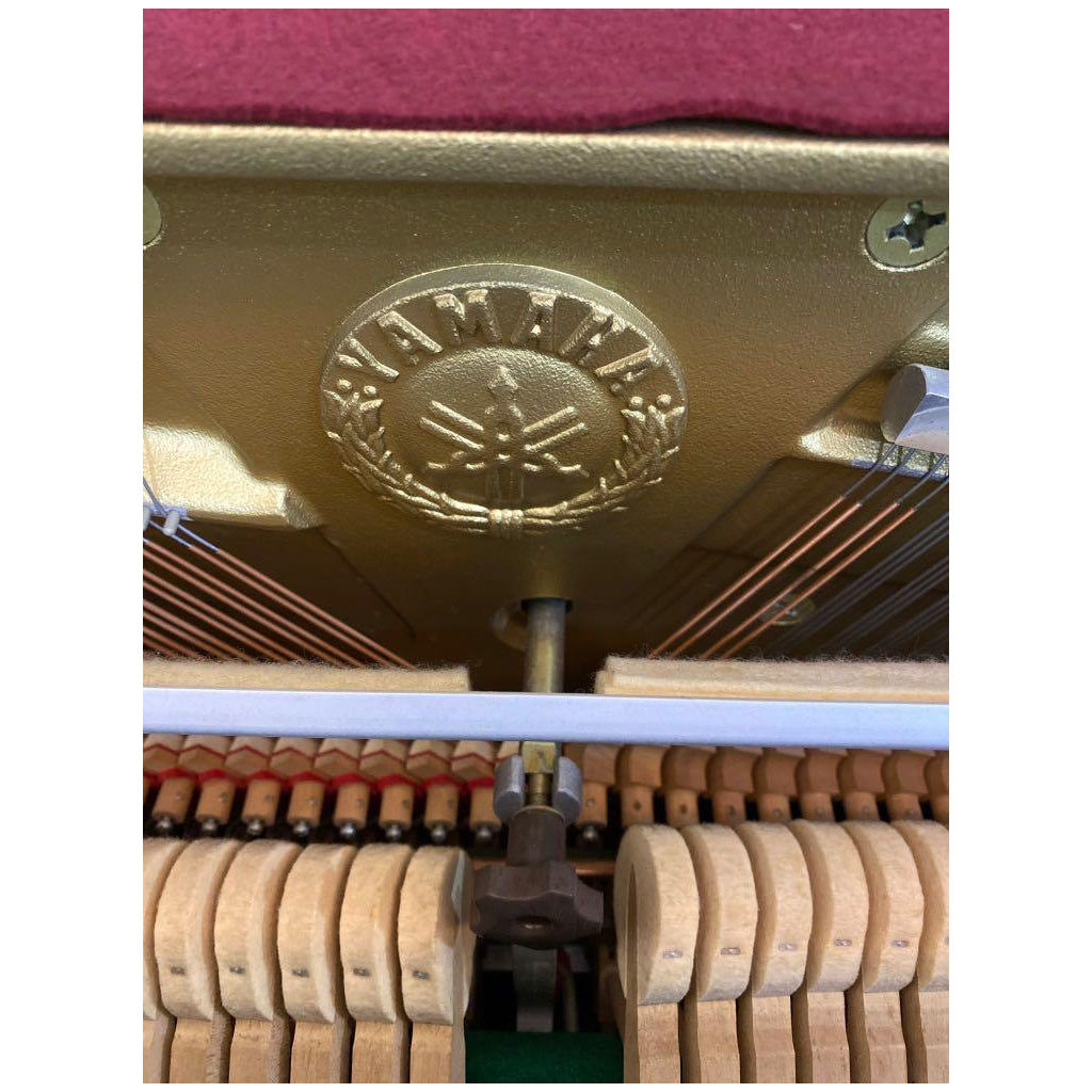 Đàn Piano Cơ Upright Yamaha JX113T PE-Việt Music