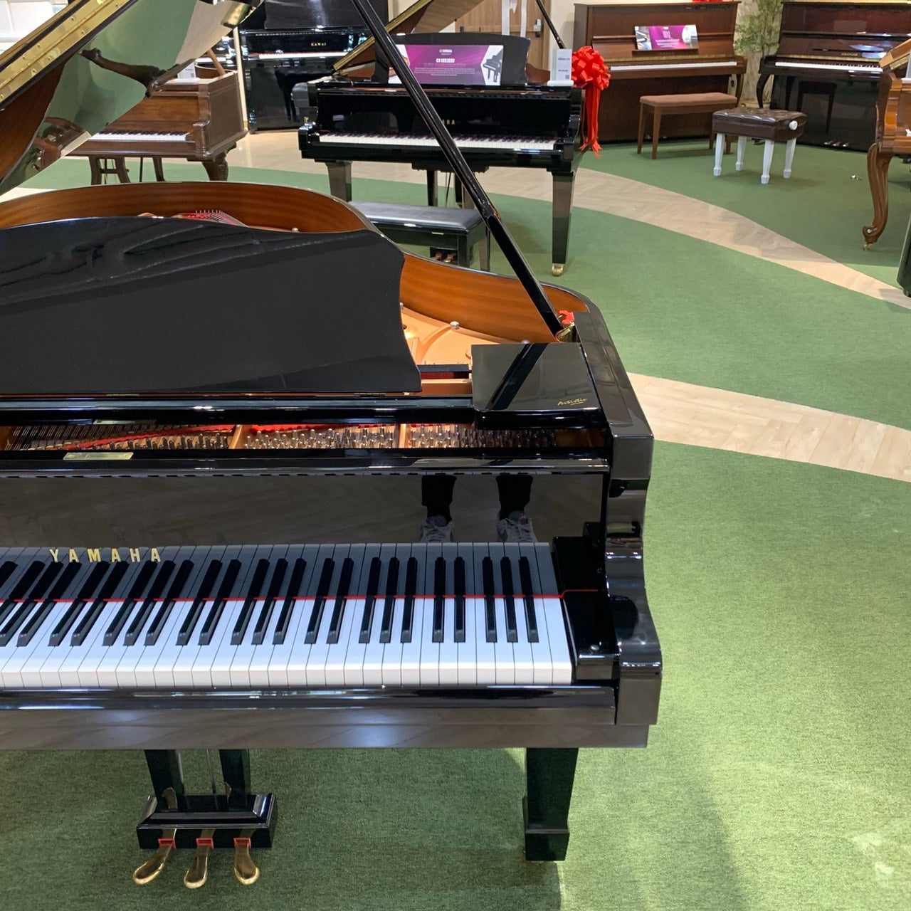 Grand Piano Yamaha C3-Việt Music